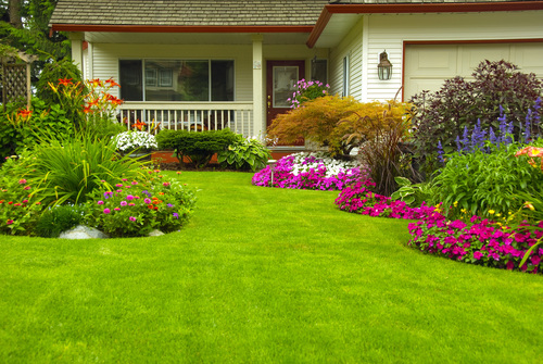 Landscaping / Horticulture